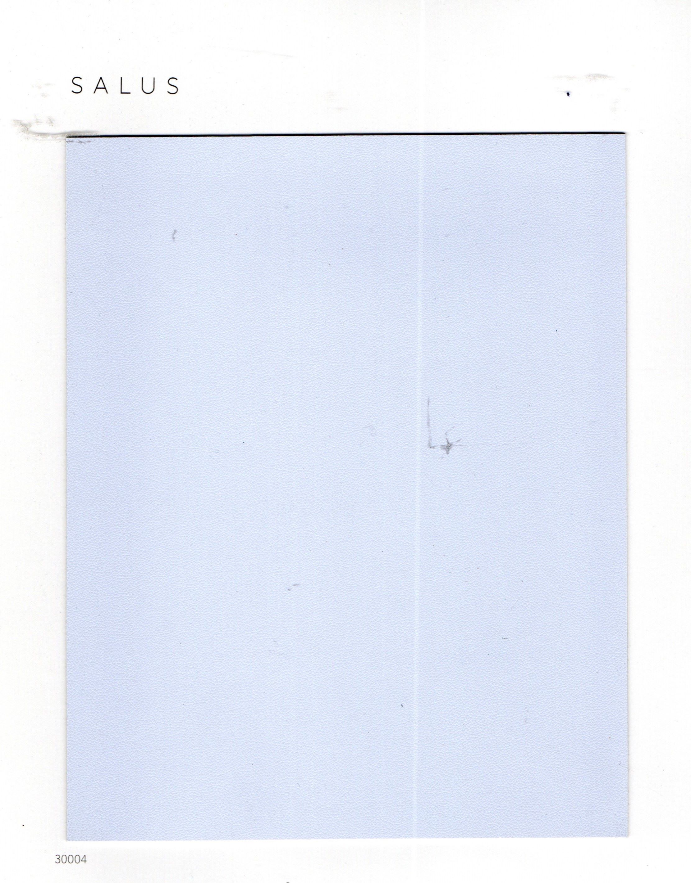 Salus 01.jpg